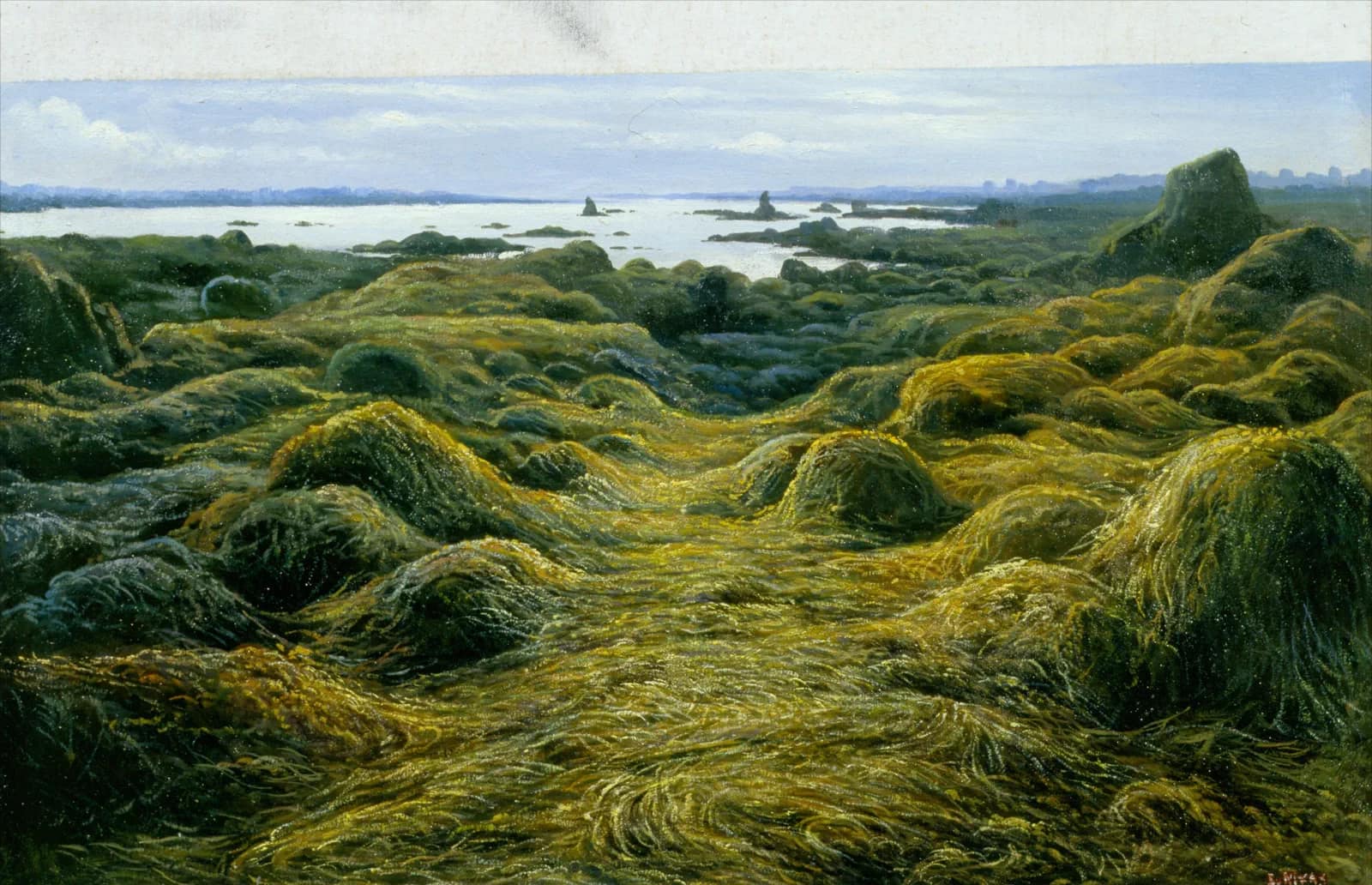 Low Tide Somewhere in Scotland