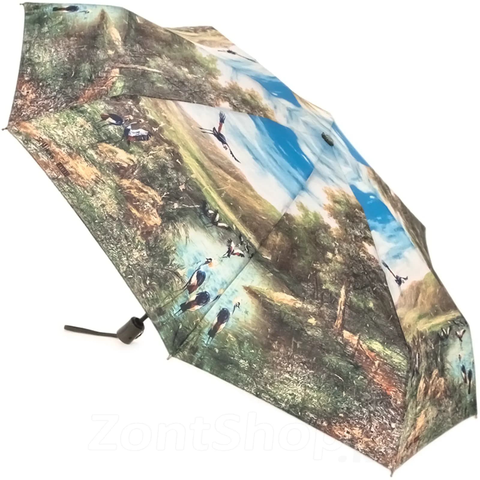 Lamberti umbrella 9
